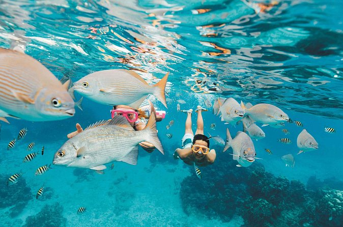 Snorkeling in Puerto Morelos - Facilities, comfort, and the post-snorkel payoff in Puerto Morelos