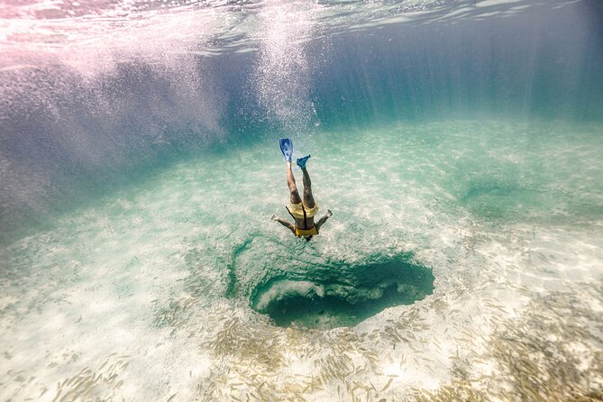 Snorkeling Tour with Turtles and Stingrays Puerto Morelos - What the 3.5-Hour Flow Feels Like From Start to Finish