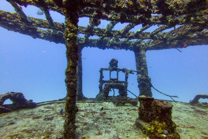 SPECIAL!! 2 Tank Wreck & Drift Reef dives - Small Group Service, Safety Focus, and Real-Time Guide Attention