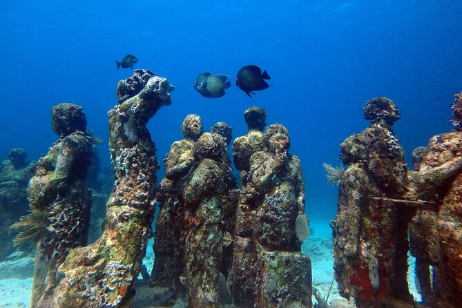 SPECIAL! Snorkel at MUSA - The Underwater Museum Reservation - Boats, groups of 20, and why the crew makes or breaks this outing