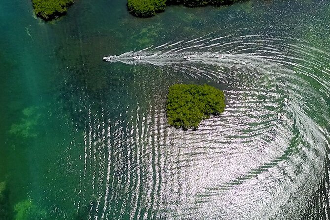 SpeeBoat Tour Whit Snorkeling In Cancún- Drive Your Own Boat - Marina Jungle Tour Adventure: What It’s Like Cruising Nichupté Lagoon