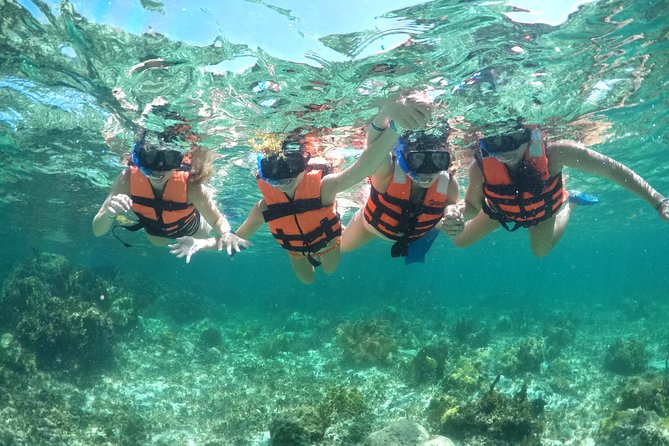 Speedboat adventure in cancun waters - Speedboat adventure in Cancun: what the experience is really like