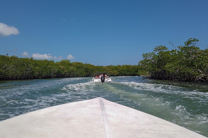 Speedboat and snorkel tour: Single Passenger Boat - Learning to drive the single-passenger speedboat