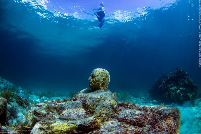 Speedboat and snorkel tour: Single Passenger Boat - Snorkeling gear and comfort tips that actually matter