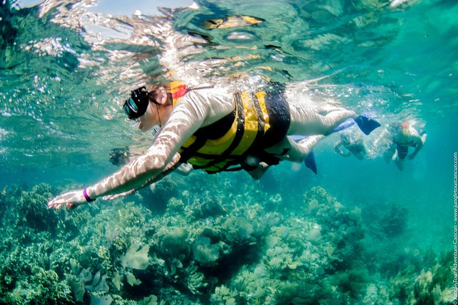 Speedboat and snorkel tour: Single Passenger Boat - Price and value: what $110 buys, and what costs extra