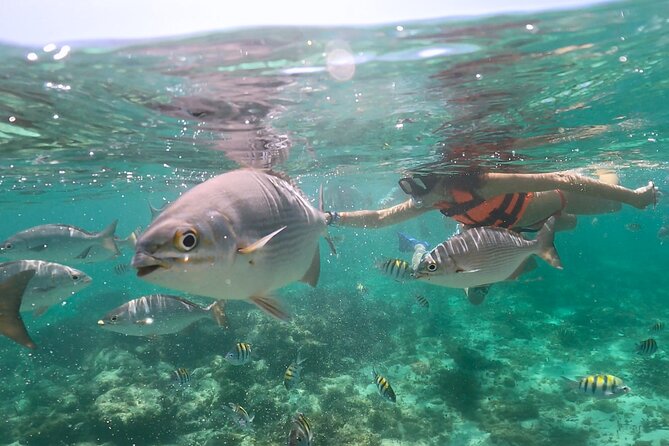 Speedboat and Snorkeling in Cancun with Mayan Ceremony & Tasting - The Mayan Purification Ceremony: Short, Spiritual, and Actually Relevant