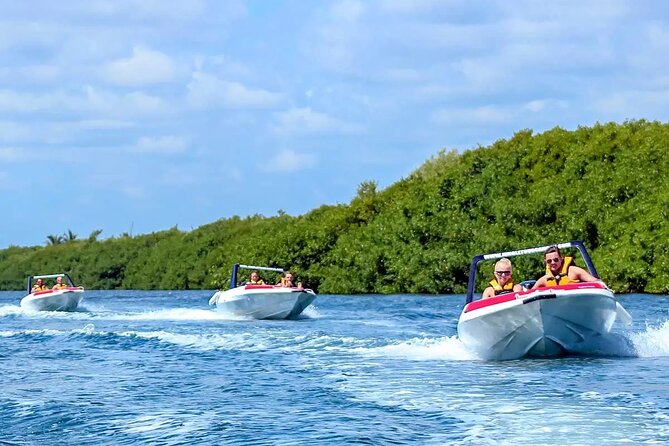 Speedboat Excursion: Thrilling Drive & Snorkel in Cancun Lagoon! - Morning or Afternoon: Choose Based on Your Cancun Plans