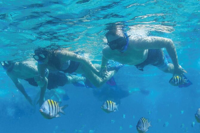 Speedboat Excursion: Thrilling Drive & Snorkel in Cancun Lagoon! - Price and Real Value: $59 Plus the 600 MXN Dock Fee