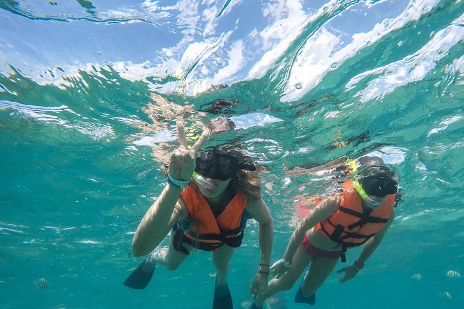 Speedboat jungle tour and snorkel - Who should book this Cancun speedboat snorkeling tour