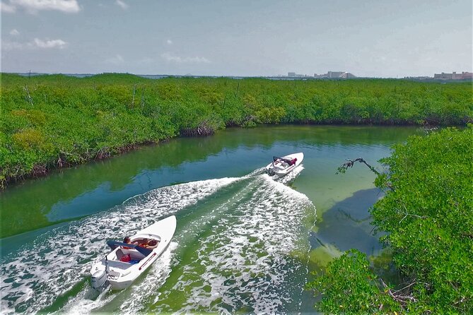 SpeedBoat Jungle Tour + Snorkel Experience in Cancun - Who this Cancun speedboat and snorkel tour is for