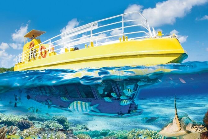 Subsea Subsee - What the underwater ride is really like