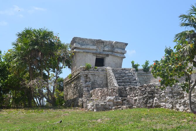 Swim with Turtles in Akumal, Cenote and Tulum Ruins Tour - Price and value: is $256.47 a good deal for a full day?