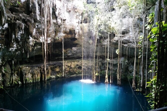 Swim with turtles + snorkelling + archaeological zone of Tulúm + cenote - Price and value: is $357.15 worth it?