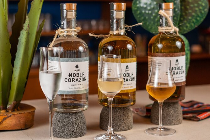 Tequila Tasting and Mixology Experience in Cancun - Your tequila tasting, 7 types in a guided order