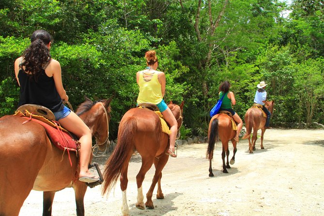 The best ATVs, zipline, cenote tour with lunch and transportation - Transportation and Group Size: When 30 People Feels Big