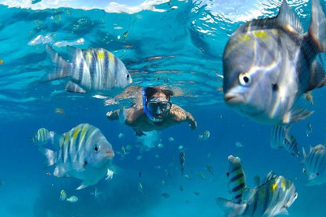 The Best Catamaran Tour to Isla Mujeres from Cancún - Snorkeling and the spinnaker: what is included and when it changes