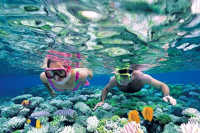 The Best Catamaran Tour to Isla Mujeres from Cancún - On-island independence: how to use your time wisely