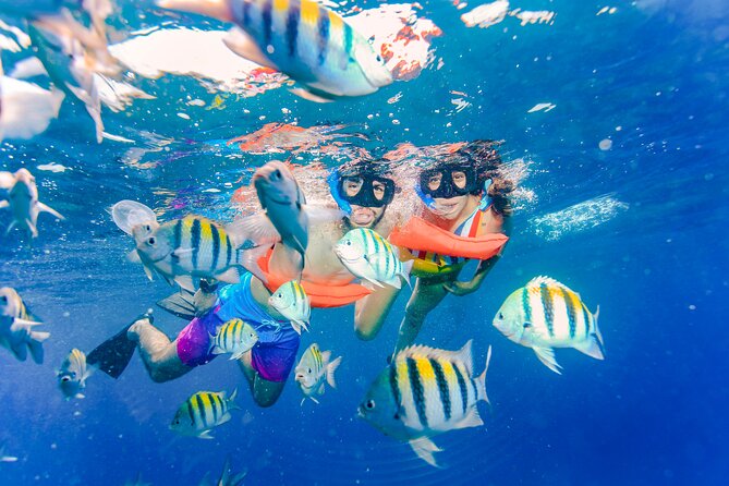 The Best Catamaran tour to Isla Mujeres with Open Bar and Lunch - The sunset finish back to Cancun: why timing is built in
