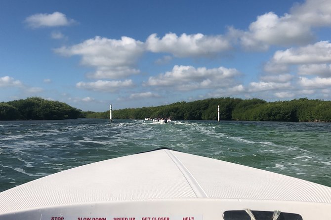 The Best Speedboat Tour In Cancun through Nichupte Lagoon, Snorkel included. - Nichupte Lagoon by speedboat: fast, guided, and genuinely different