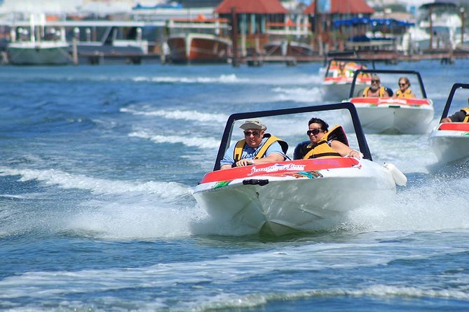 The Best Speedboat Tour In Cancun through Nichupte Lagoon, Snorkel included. - The mangrove “jungle” section: where wildlife sightings become realistic