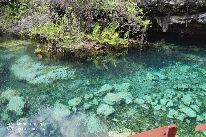 The great snorkeling adventure at the Riviera Maya private tour - Lunch and snacks: refueling with local food after the water work