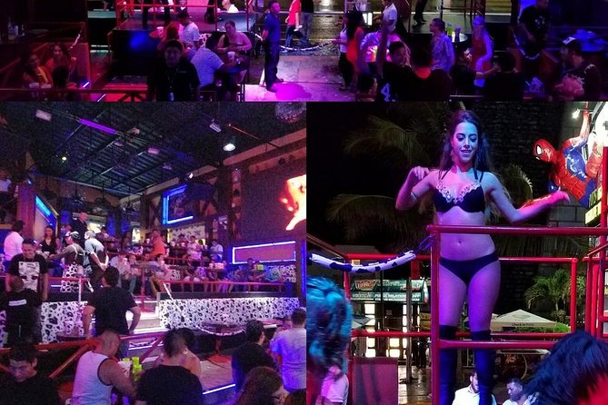 The little cow - Live entertainment and performances, built for energy not stillness
