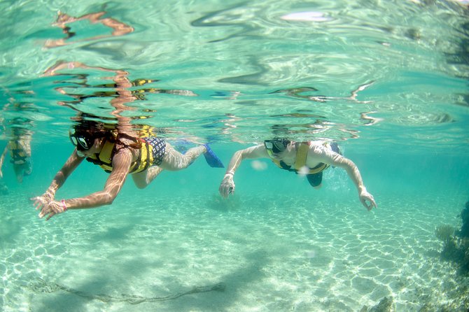 The most Intrepid Speedboat Adventure in Cancun Snorkel included - Timing and Logistics: How to Plan Your Day Without Stress