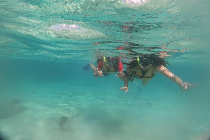 The most Intrepid Speedboat Adventure in Cancun Snorkel included - Who This Tour Is Best For (and Who Might Prefer Something Else)