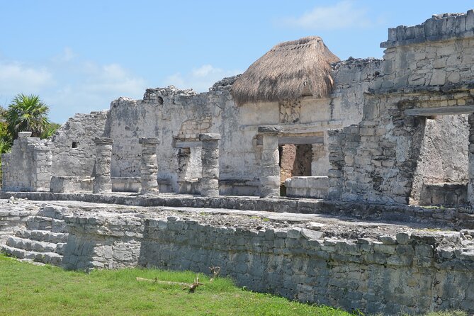 Tour 4 Cenotes House Turtle Tulum - Tulum archaeology on the cliff: where the guide earns their keep