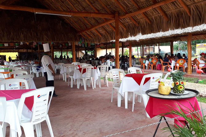 Tour from Cancun to Chichen Itza with cenote food and Valladolid - Food on the route: buffet lunch, plan your hydration