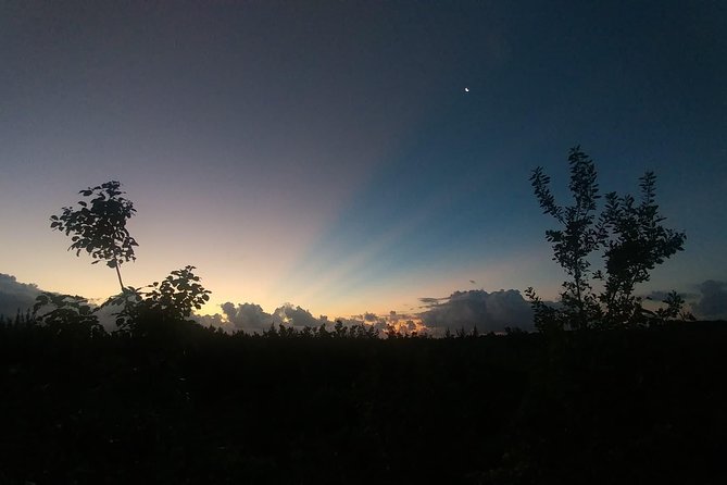 Tour Herpetologico - La Ruta de los Cenotes: Your First Step Into Mayan Jungle Habitat