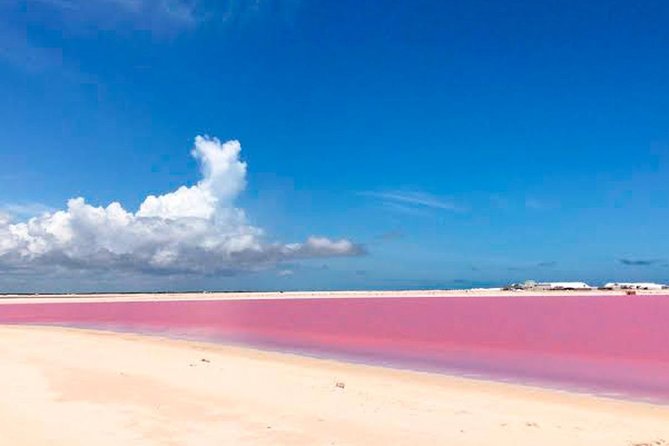Tour Las Coloradas & Rio Lagartos from Riviera Maya - Las Coloradas pink lagoons: the science behind the wow