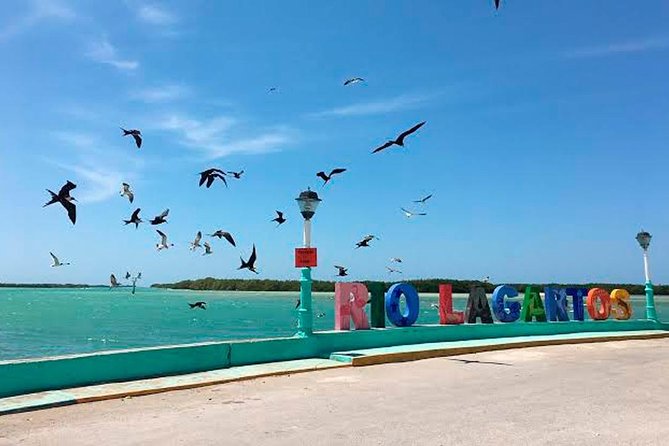Tour Las Coloradas & Rio Lagartos from Riviera Maya - The lunch plan, what’s included, and what to budget