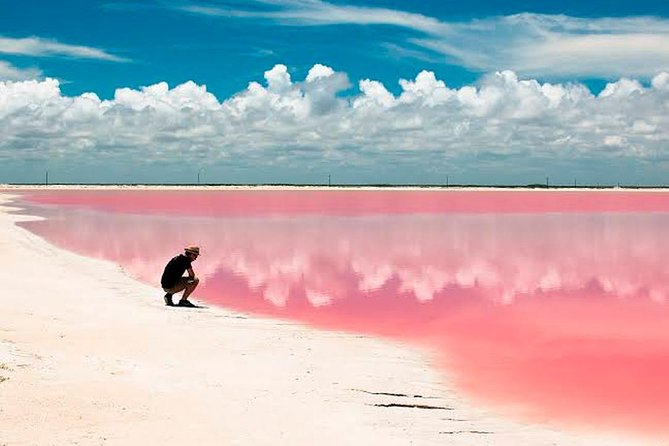 Tour Las Coloradas & Rio Lagartos from Riviera Maya - Transport comfort: air-conditioned rides and a guided flow
