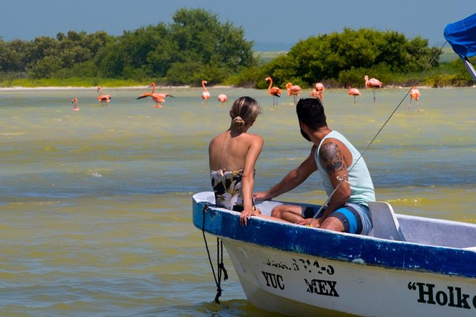 Tour to Las Coloradas Pink Waters and Boat Ride in Rio Lagartos with Lunch. - Rio Lagartos by Boat: Flamingos, Other Birds, and the “Lucky” Wildlife Moment