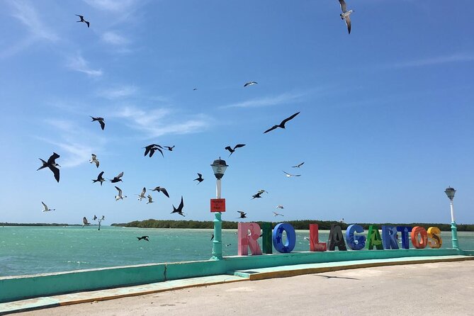 Tour to Las Coloradas Pink Waters and Boat Ride in Rio Lagartos with Lunch. - The Open-Air Mayan Spa Moment: Simple, Nature-Based, and Calm