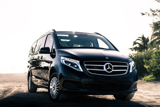Transfer in Luxury Mercedes Benz Minivan - The Meet-and-Greet System That Gets You Through the Chaos