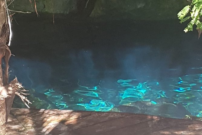 Tulaka Cenote Experience - Value: what’s included, what isn’t, and how to plan smart