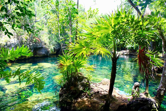 Tulaka Cenote Experience - Weather and practical realities you should respect