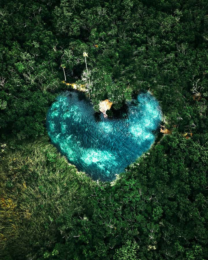 Tulum, 4 Cenotes, and Playa del Carmen - Cancun Cenote swimming and snorkel in crystal-clear water