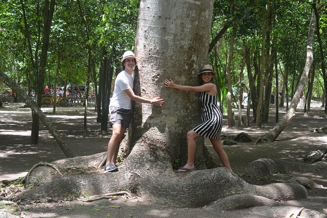 TULUM 4x1 : Archaeological Site, Cenote, 5th Avenue and lunch - Price of $245.29: where the value comes from, and what can add up