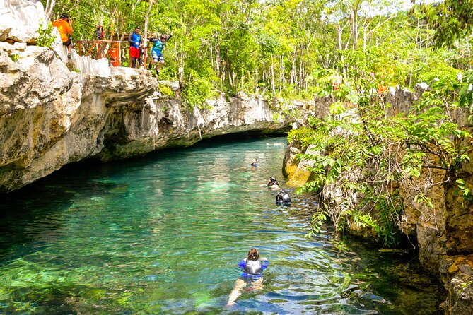 Tulum Akumal Snorkel Tour and 4 Cenotes Small Group All Fees Incl - Akumal Beach snorkeling: gear is included, turtles and rays are the goal
