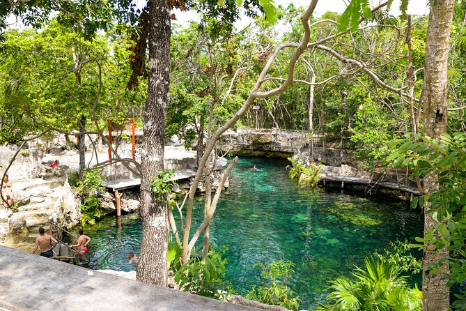 Tulum Akumal Snorkel Tour and 4 Cenotes Small Group All Fees Incl - Should you book the Tulum Akumal snorkel and cenotes small-group tour?