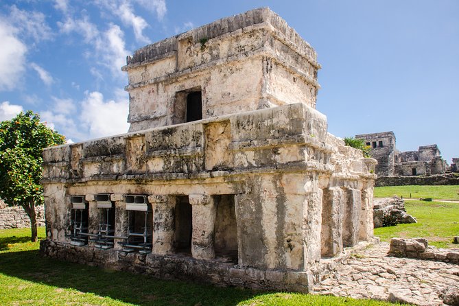 Tulum & Cenote Private Tour - Casa Tortuga cenote swim: one hour, cool water, and provided gear