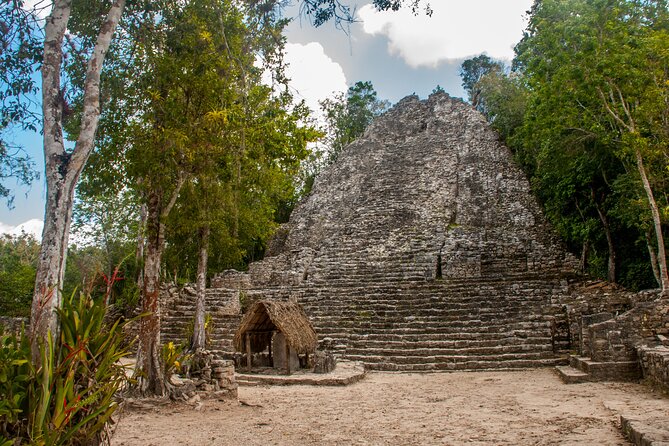 Tulum, Coba & Cenote All-Inclusive Tour - Stop 5: Playa del Carmen and Quinta Avenida in 50 Minutes