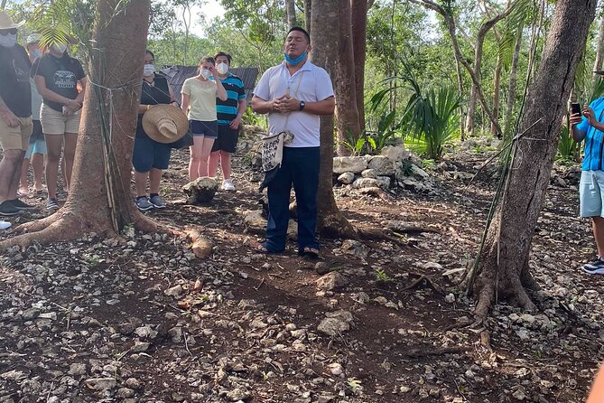 Tulum, Coba, Cenote Kuxtal and Playa Del Carmen! Deluxe 4x1 Tour - Quinta Avenida in Playa del Carmen: a free hour for food, music, and people-watching