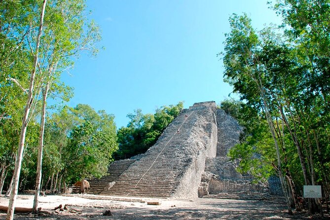 Tulum, Coba, Cenote & Playa Del Carmen! Full Mayan Experience - Playa del Carmen and 5th Avenue: short city time, fast shopping