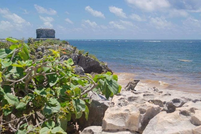 Tulum & Coba Private Tour - How the guides make the ruins click (Riaz, Marcela, Angela, and more)