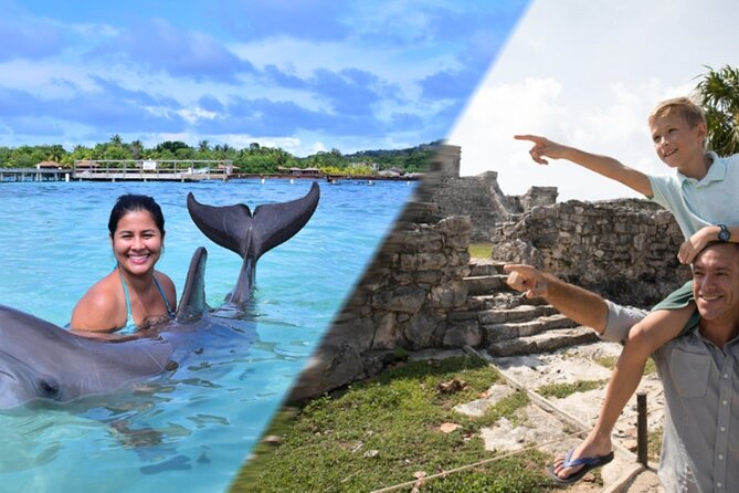 Tulum & Dolphin Connection from Cancun - Key Highlights You’ll Actually Care About