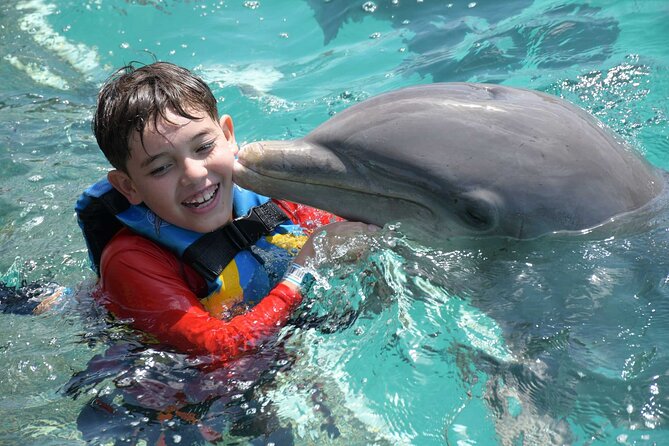 Tulum & Dolphin Connection from Cancun - Dolphin Discovery Tulum - Akumal: what you get, how long you’re in the water